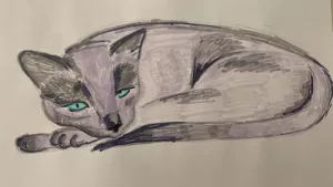 Tinywow WhatsApp Image 2025 02 20 At 22.57.34 75913619